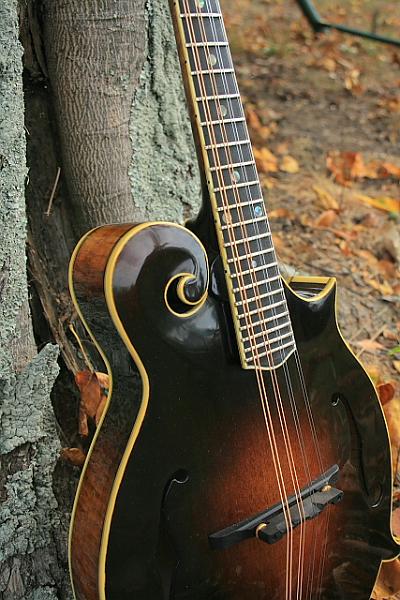 mandolintop2R.JPG
