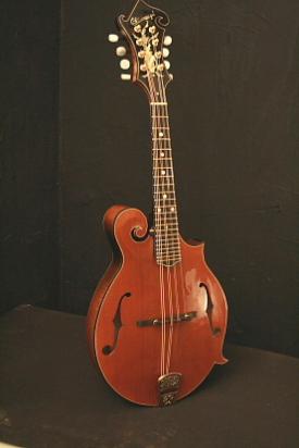 redwoodtop1R.JPG