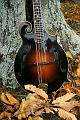 mandolintop3R