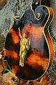 mandollinback2R