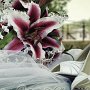 DSC04444cc