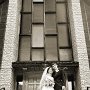 DSC08180cc