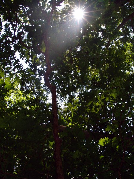 DSC09513cc.jpg
