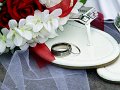 DSC09467cc