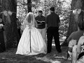 DSC09559ccbw