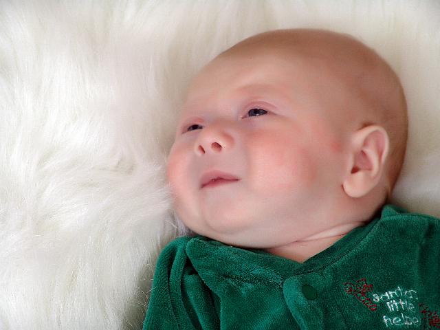 DSC00009cc.jpg