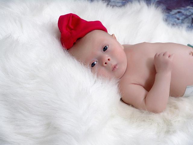DSC00017cc.jpg