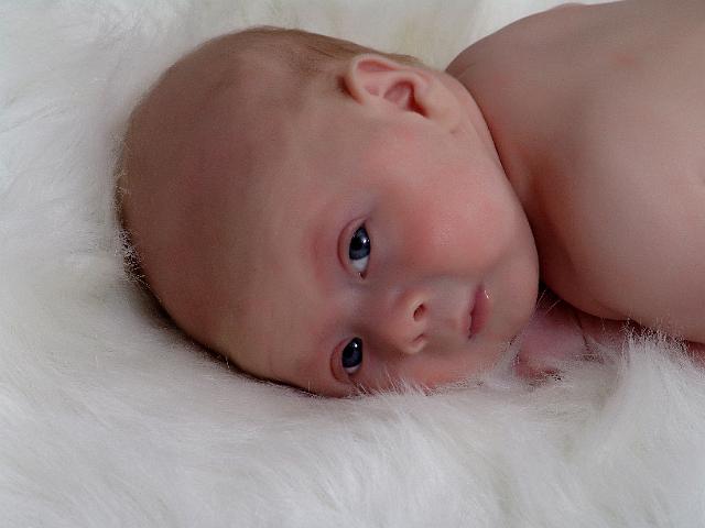 DSC00022cc.jpg