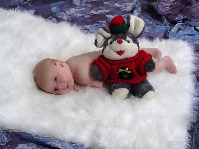 DSC00026cc.jpg