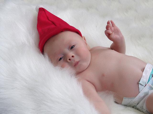 DSC00035cc.jpg