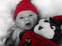 DSC00104bw