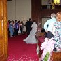 DSC08800cc