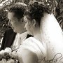 DSC08951cc