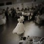 DSC07518cc