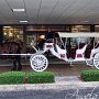 DSC09136cc