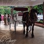 DSC09138cc