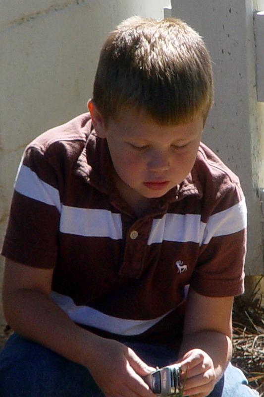 460832.jpg