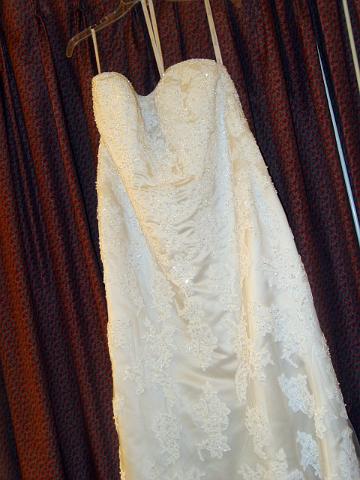 DSC01567cc.jpg
