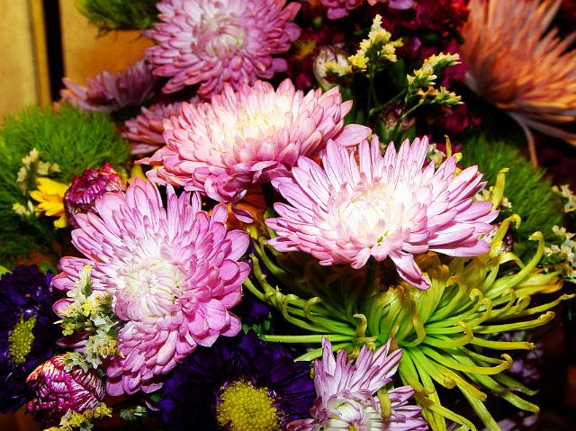 DSC01570cc.jpg
