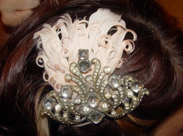 DSC01582cc.jpg