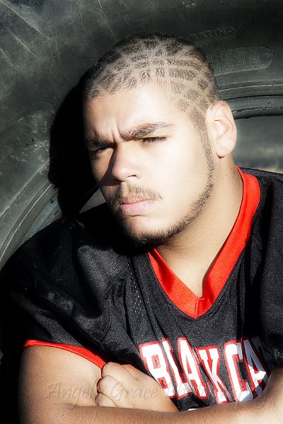 3146cc.jpg