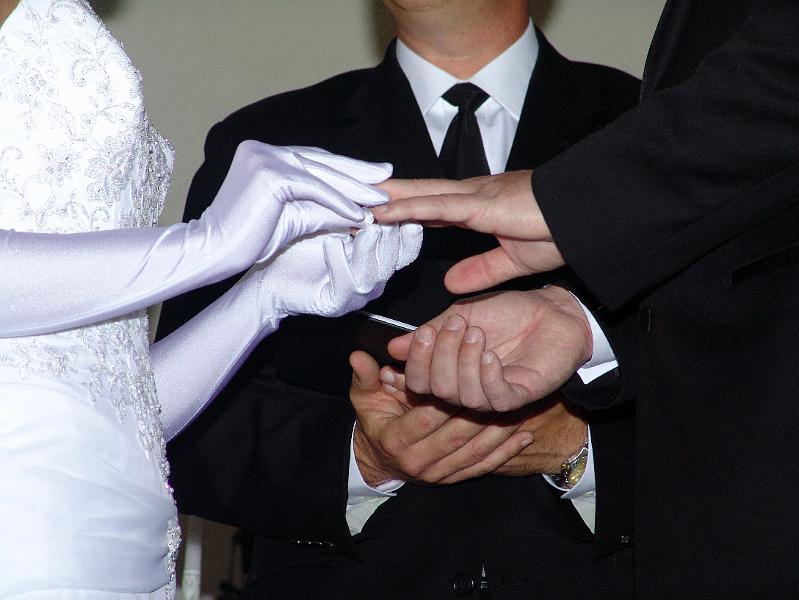 DSC08362cc.jpg