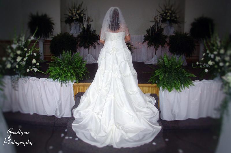 460066cc.jpg