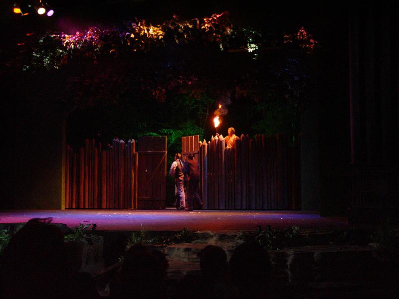 DSC09235.JPG