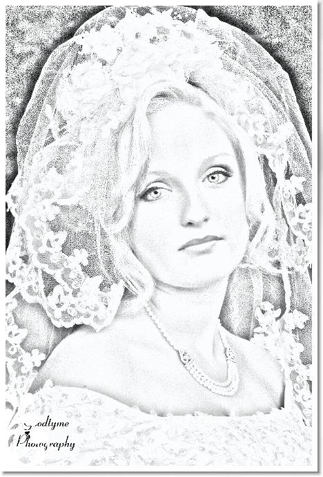 46DSC08636draw