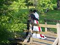 DSC06407